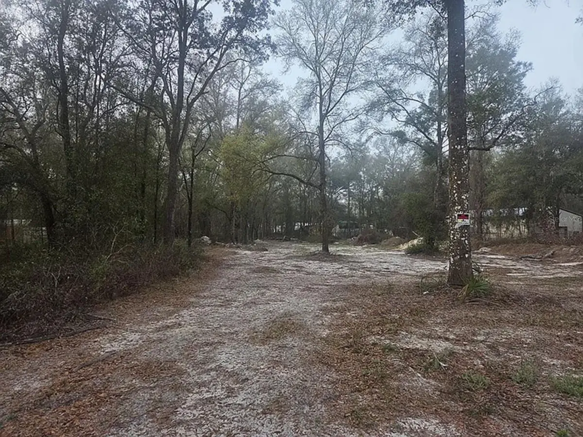 SW 156th Place, Dunnellon, FL 34432 - #1