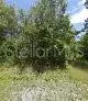 245 N Romero Street, Clewiston, FL 33440 - #1