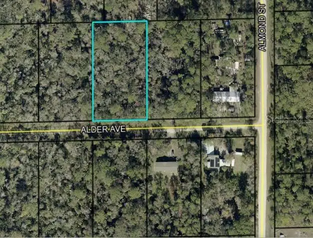 6296 Alder Avenue, Bunnell, FL 32110 - #1