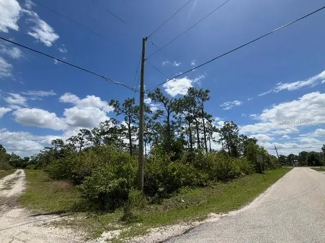 29305 Hazelwood Drive, Punta Gorda, FL 33982 - #1
