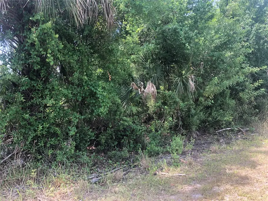 Dandurand Avenue, North Port, FL 34291 - #3