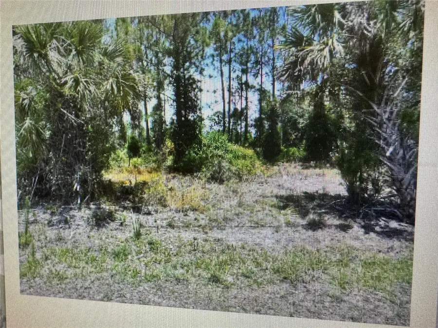 Sago Palm Road, North Port, FL 34291 - #2