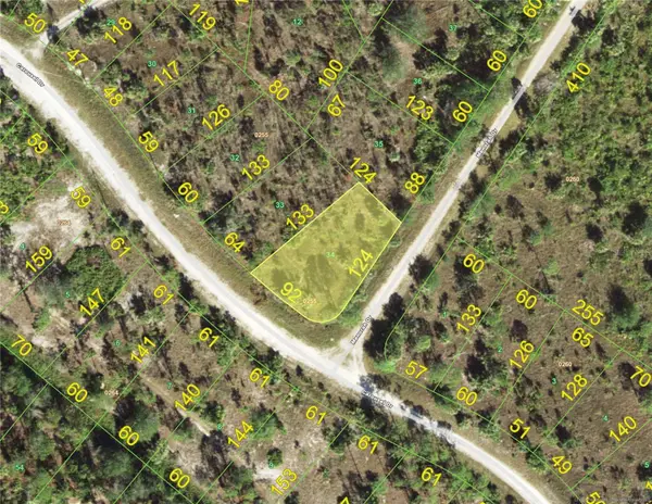13389 Menorah Drive, PUNTA GORDA, FL 33955