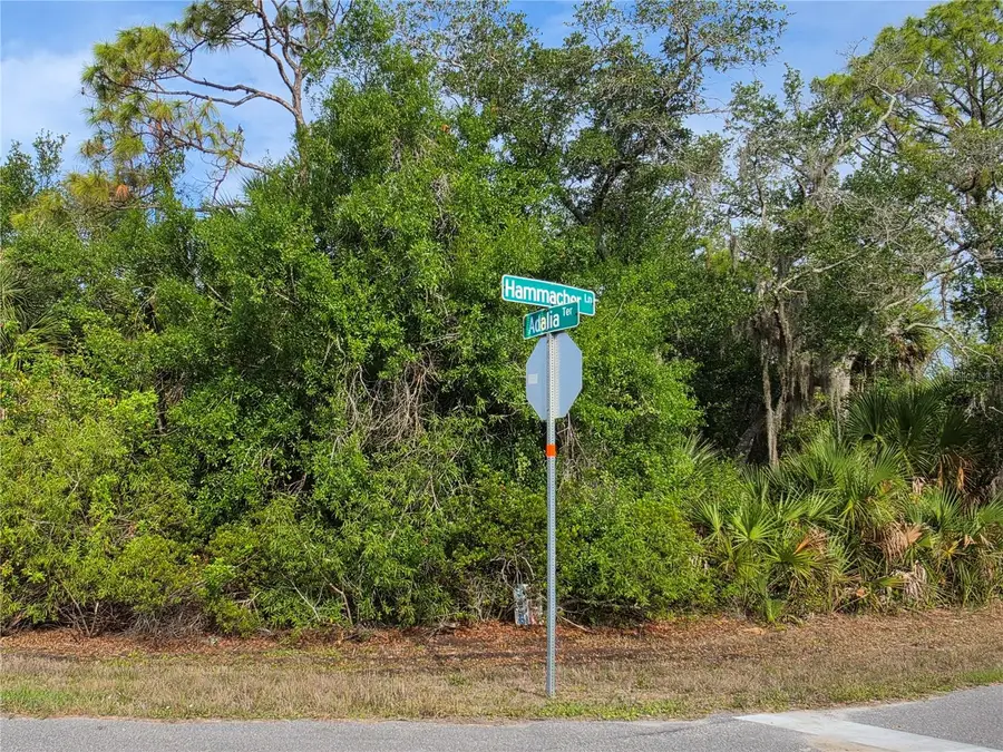 1193 Hammacher Lane, Port Charlotte, FL 33953 - #3