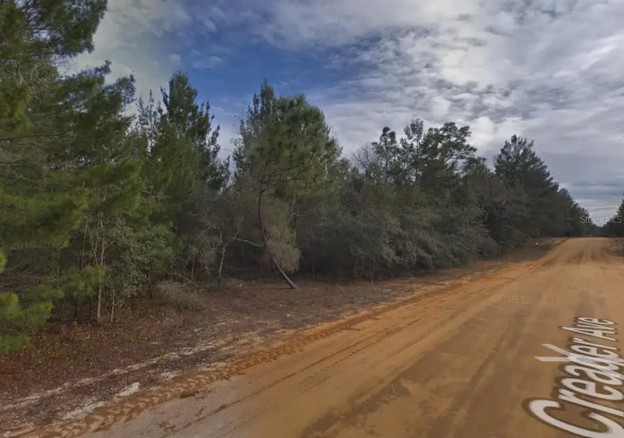 Creager Avenue, Interlachen, FL 32148 - #2