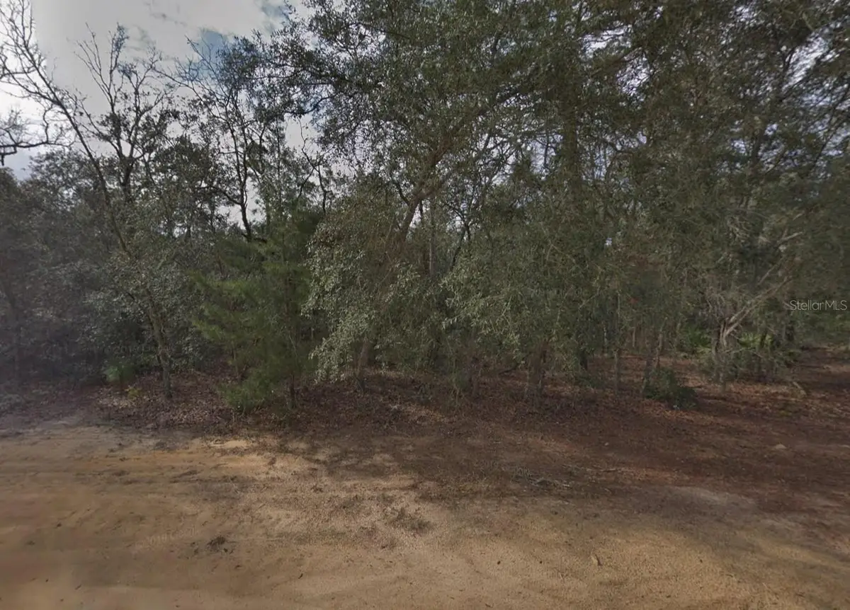 David Avenue, Interlachen, FL 32148 - #1