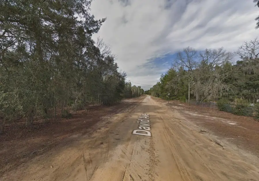 David Avenue, Interlachen, FL 32148 - #3