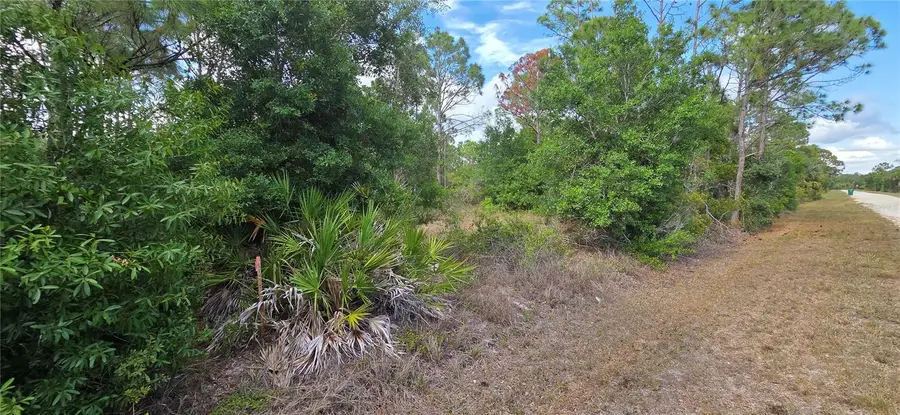 27402 Mandalay Drive, Punta Gorda, FL 33955 - #3