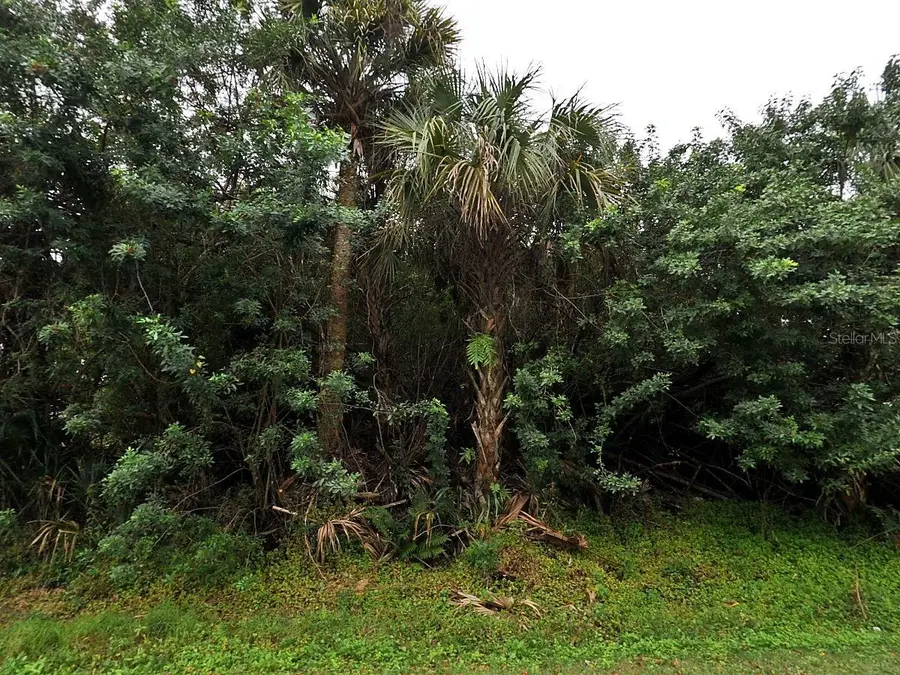 Champagne Avenue, North Port, FL 34287 - #2