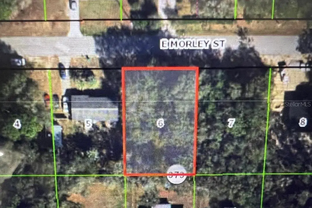 6390 E Morley Street, Inverness, FL 34452 - #1