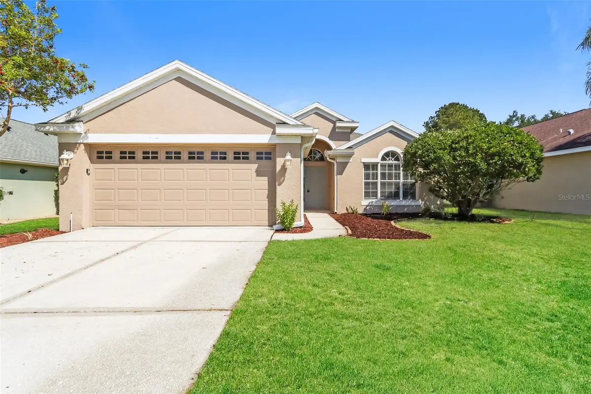 23211 Bayou Grove Street, Land O Lakes, FL 34639 - #1