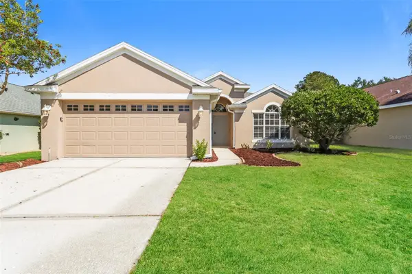 23211 Bayou Grove Street, LAND O LAKES, FL 34639