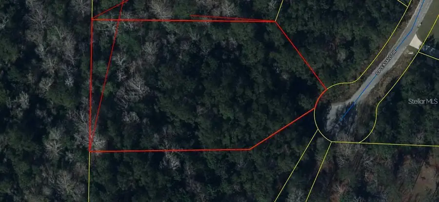 0 S Pleasant Drive, Defuniak Springs, FL 32435 - #3