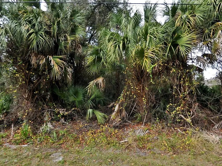 Julia Terrace, North Port, FL 34286 - #3