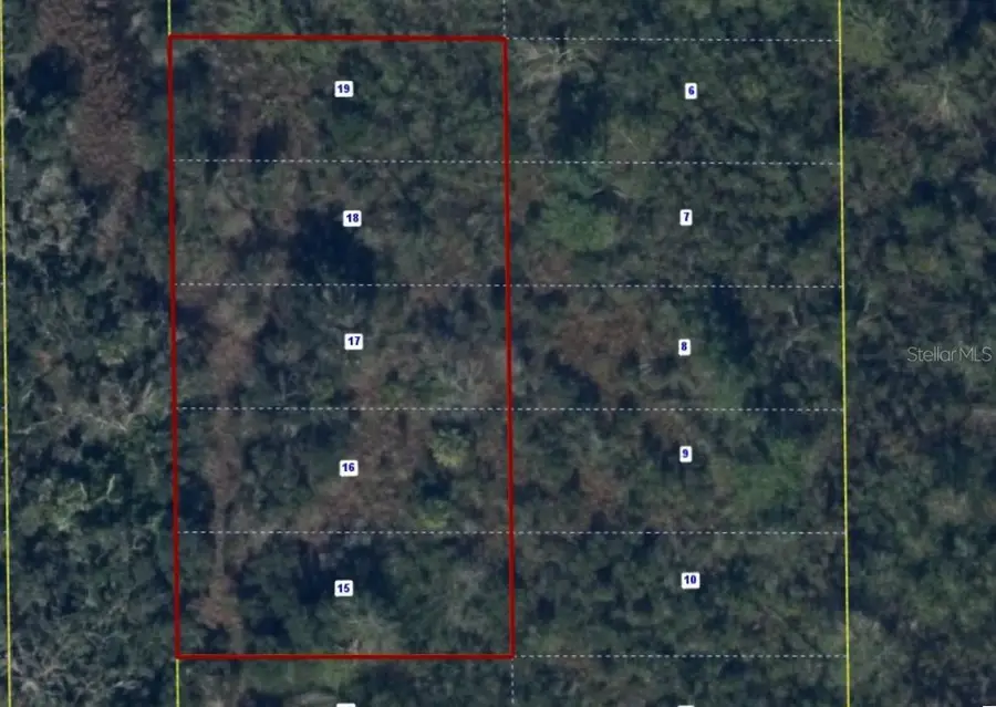 Sw Pablo Avenue, Arcadia, FL 34266 - #2