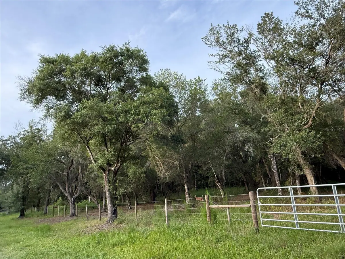 Se Brown Road, Arcadia, FL 34266 - #1