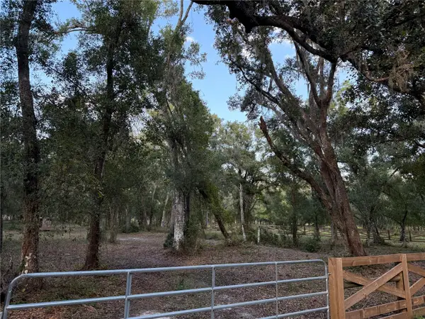 Se Brown Road, ARCADIA, FL 34266