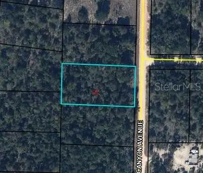 0 Canyon Avenue, Alford, FL 32420 - #1