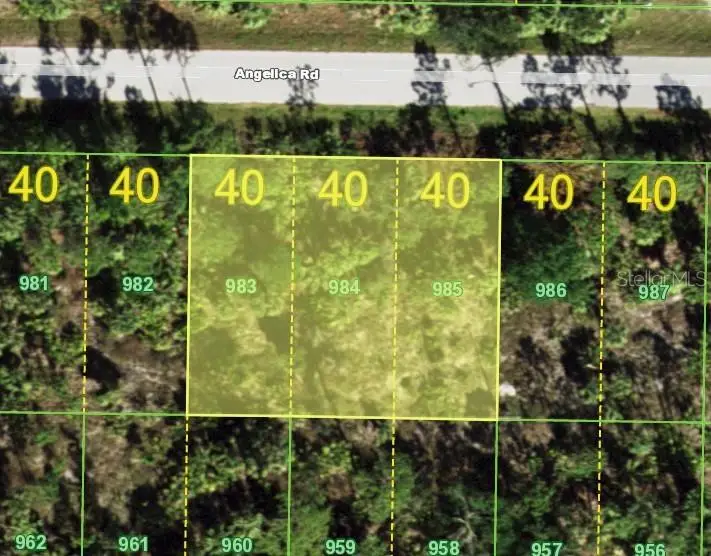 26215 Angelica Road, Punta Gorda, FL 33955 - #1