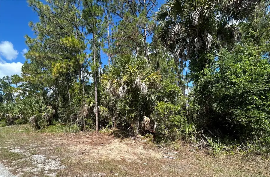 Billberry Street, North Port, FL 34288 - #3