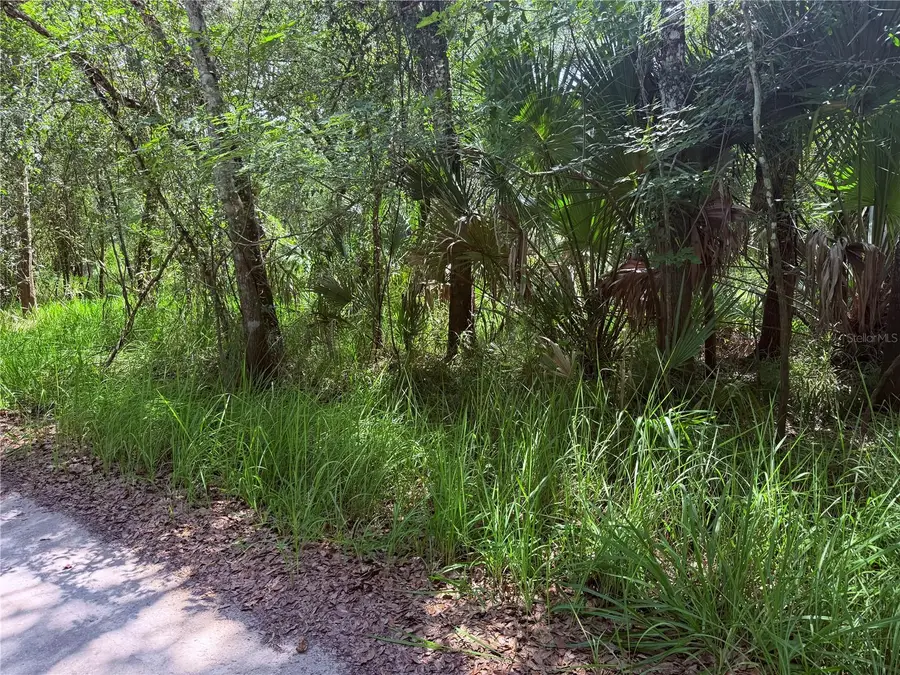 Ne River Ridge Avenue, Arcadia, FL 34266 - #2