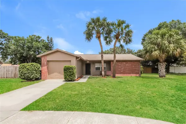 1002 Pinehaven Court, BRANDON, FL 33511