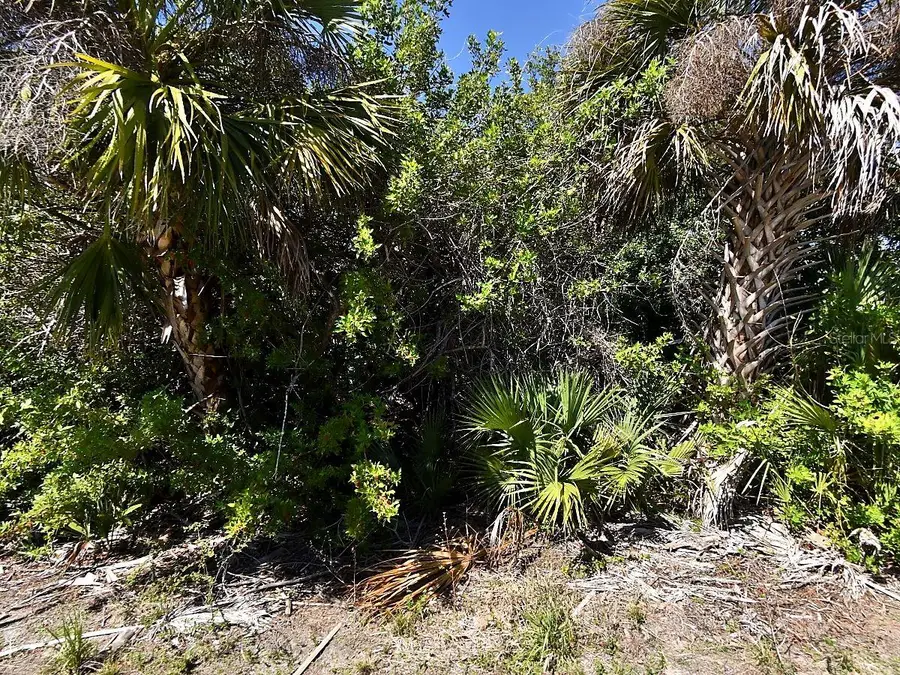 Wheeling Avenue, North Port, FL 34288 - #2
