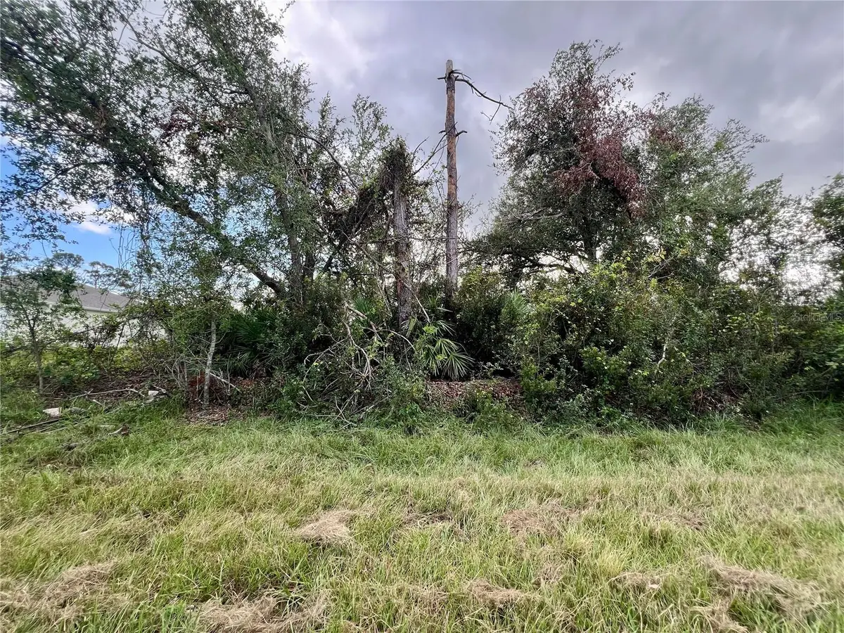 12189 Vaughan Avenue, Port Charlotte, FL 33981 - #1