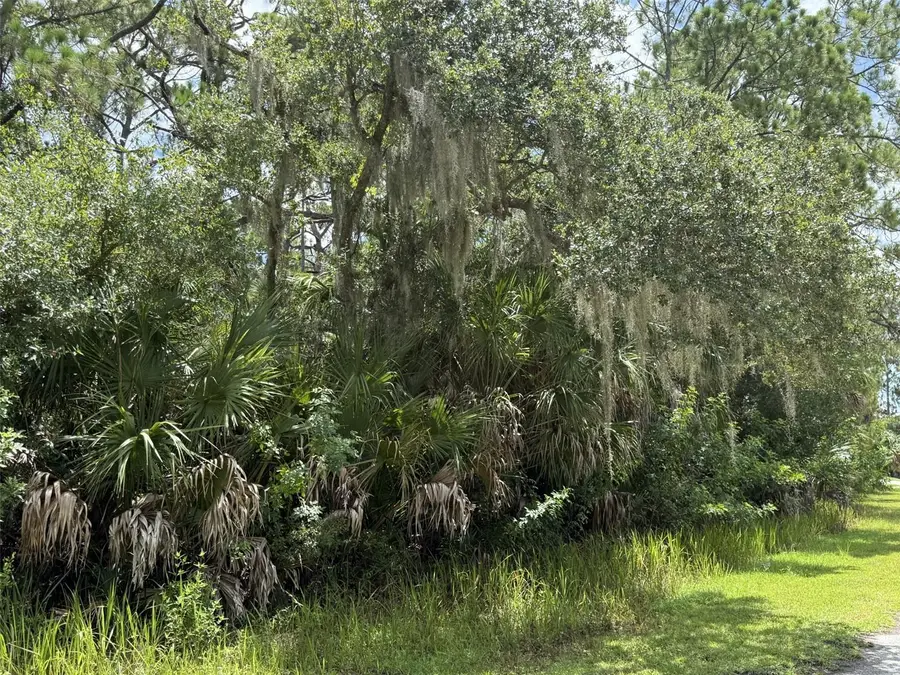Badali Road, North Port, FL 34286 - #3