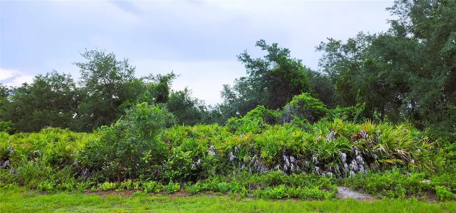 12242 Bacchus Road, Port Charlotte, FL 33981 - #2