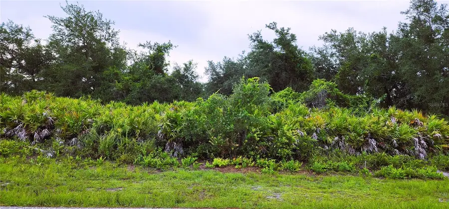 12242 Bacchus Road, Port Charlotte, FL 33981 - #3