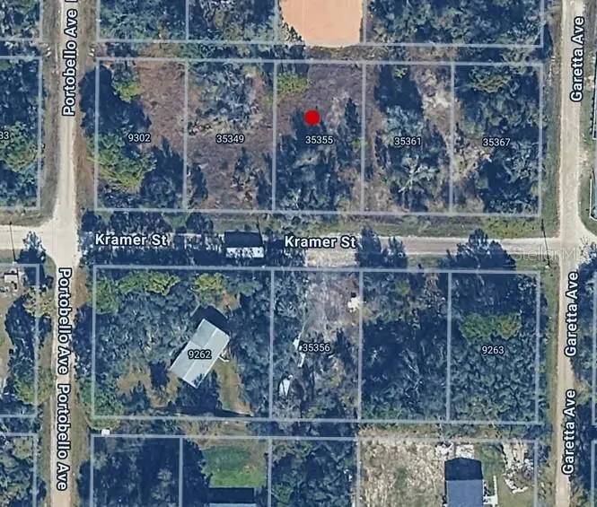 35355 Kramer Street, Webster, FL 33597 - #1