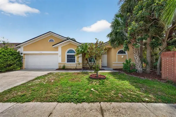 11318 Pocket Brook Drive, TAMPA, FL 33635