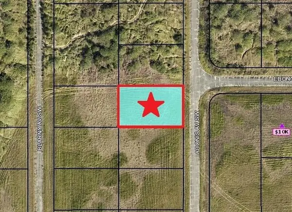 2524 Adonis Avenue Sw, PALM BAY, FL 32908