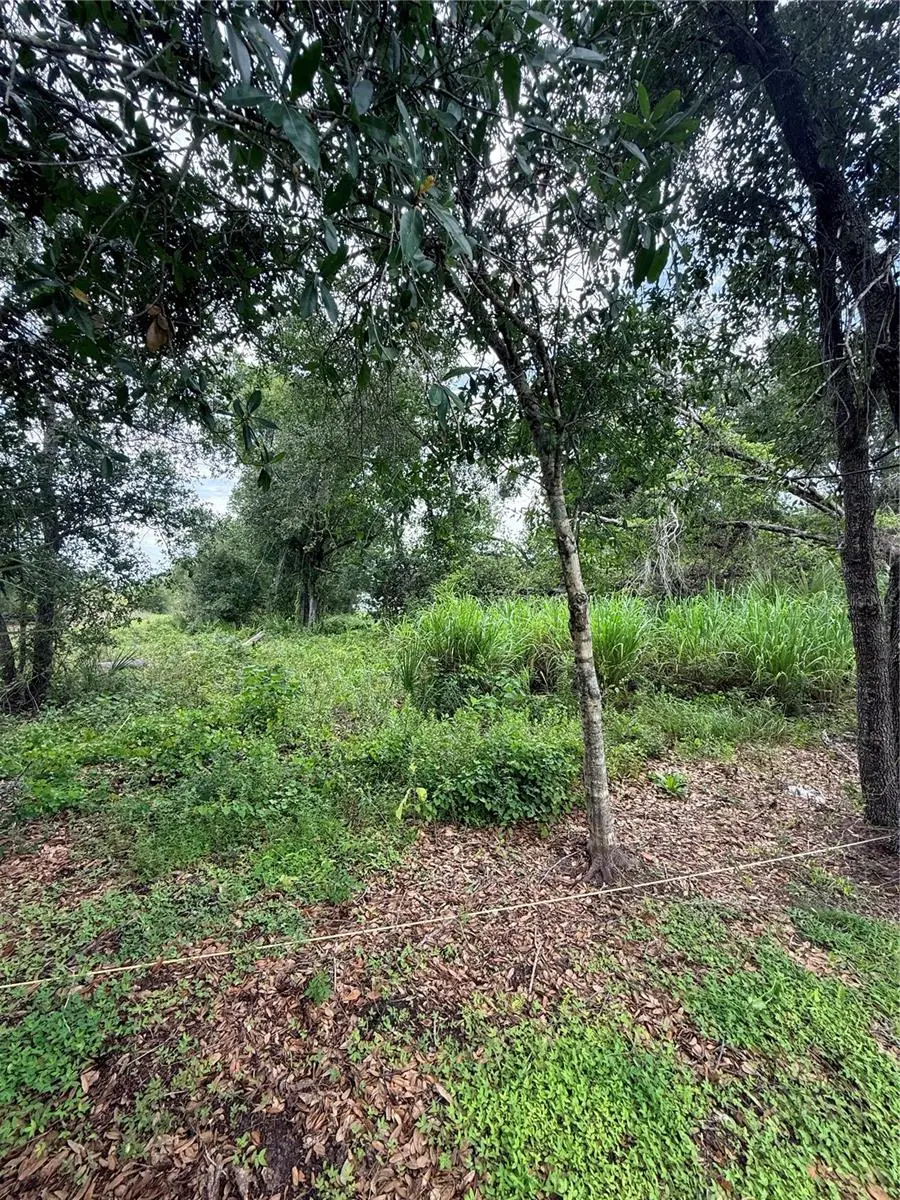 574 Encarnacion Street, Punta Gorda, FL 33983 - #3