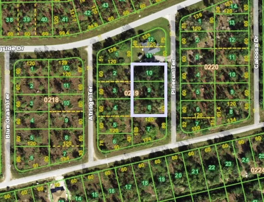 13263 Pinerun Terrace, Punta Gorda, FL 33955 - #2