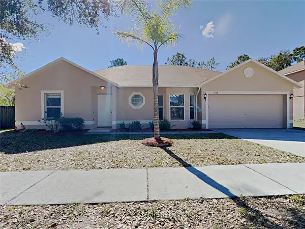 1322 Dragon Head Drive, VALRICO, FL 33594