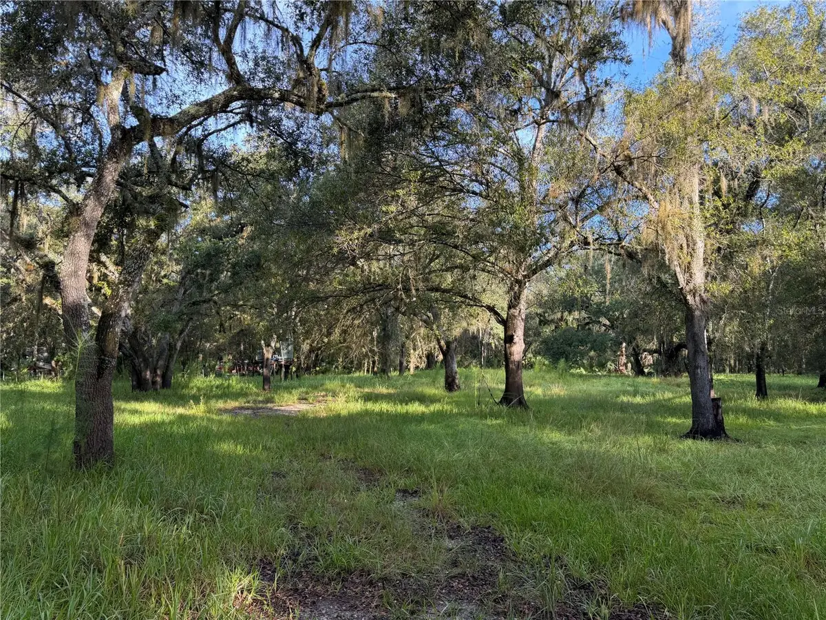 1284 NE River Mill Drive, Arcadia, FL 34266 - #1