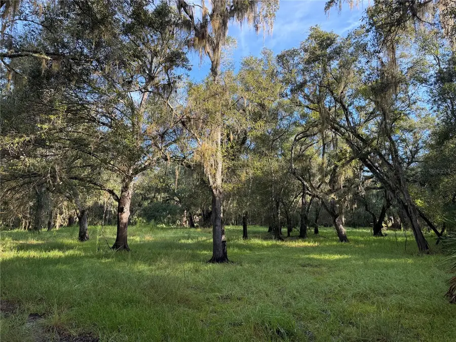 1284 NE River Mill Drive, Arcadia, FL 34266 - #3