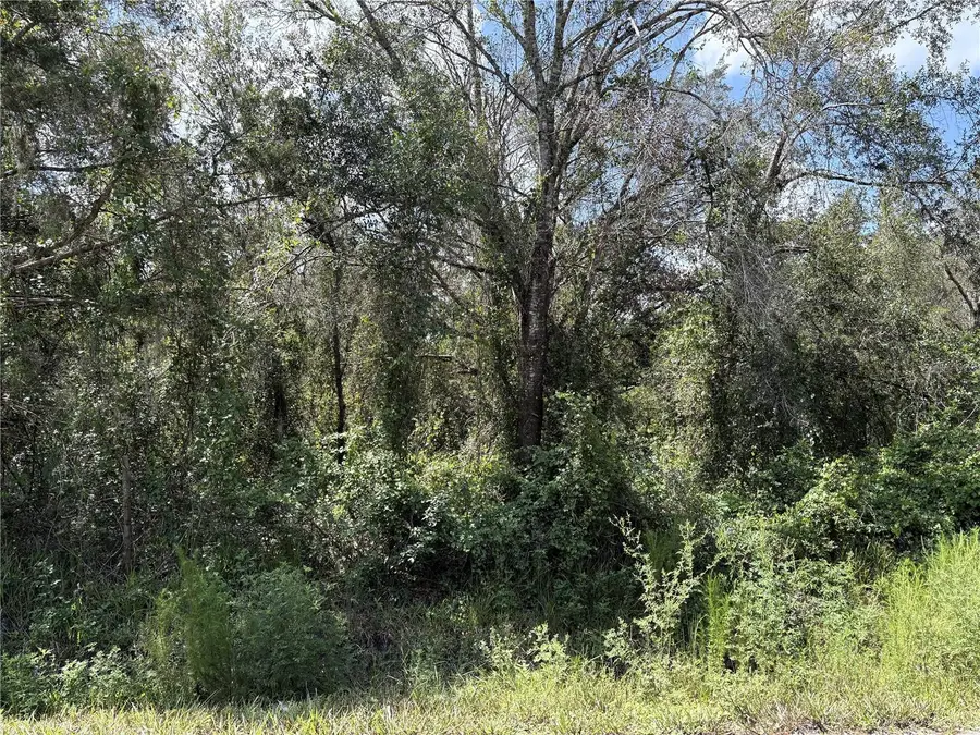 6423 NE Thomas Drive, Arcadia, FL 34266 - #3