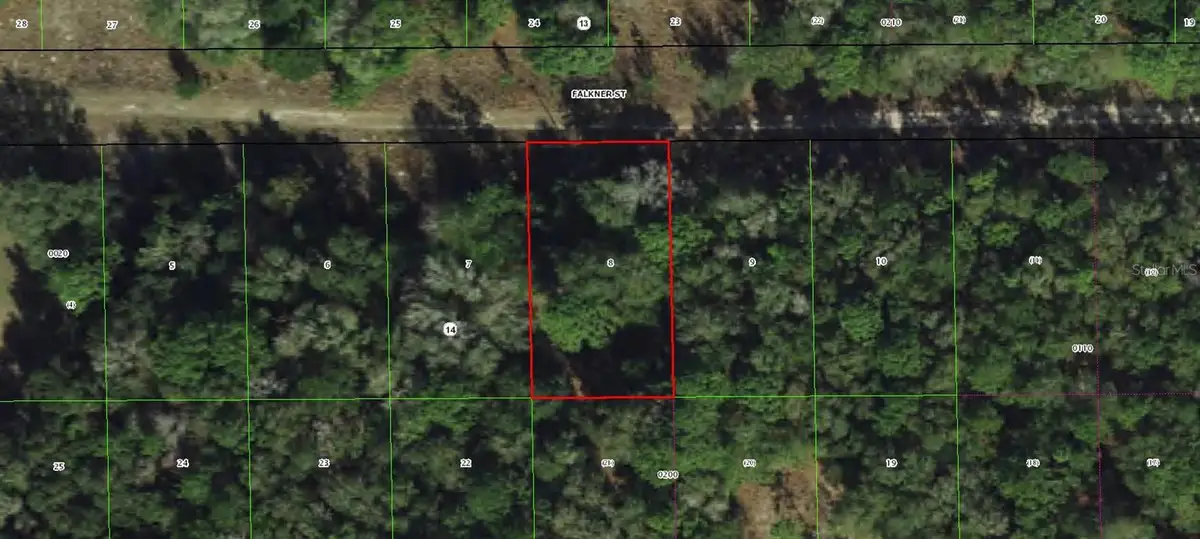 1913 Falkner Street, Inverness, FL 34453 - #1