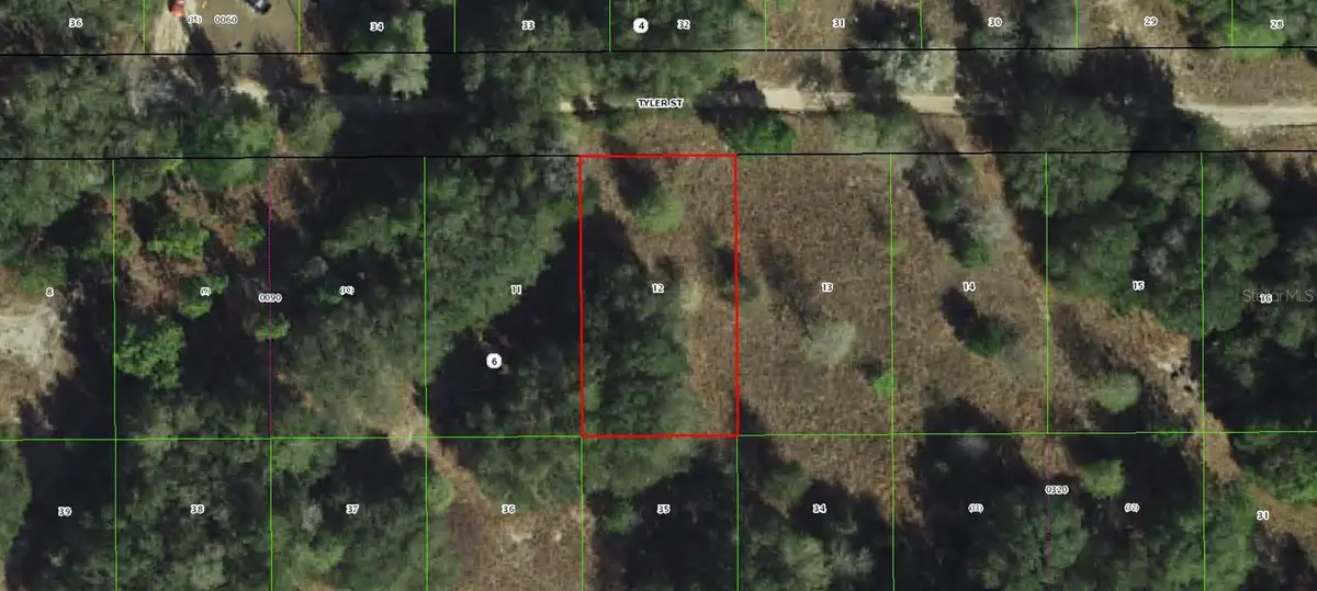 2409 Tyler Street, Inverness, FL 34453 - #1