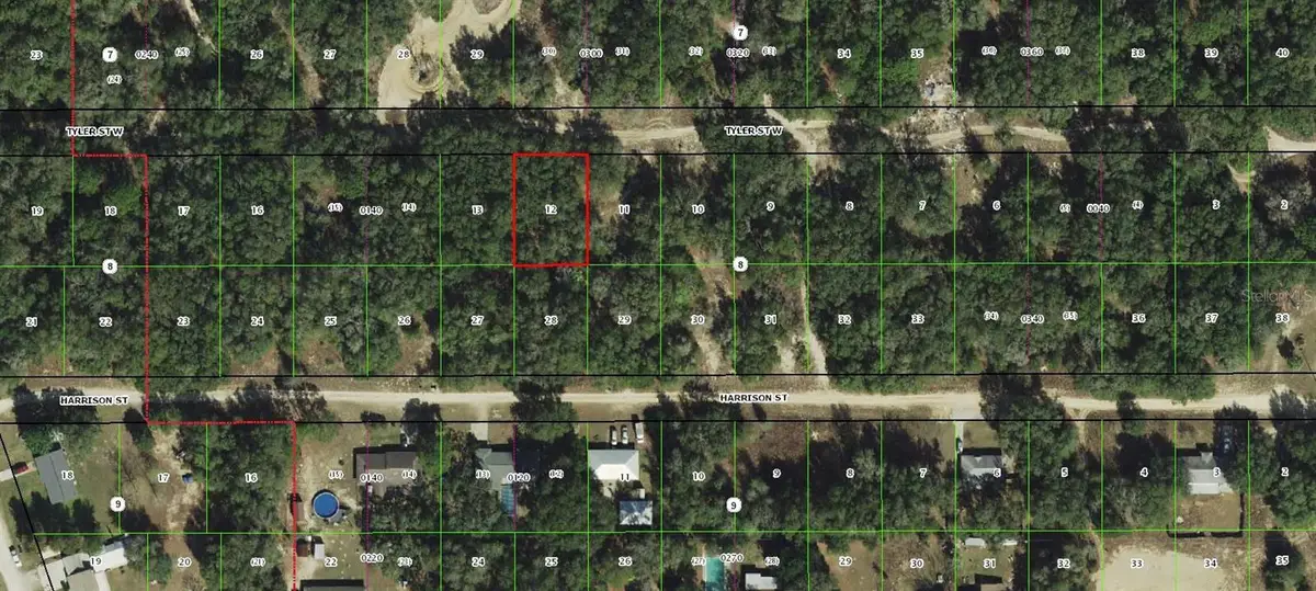 2909 Tyler Street, Inverness, FL 34453 - #1
