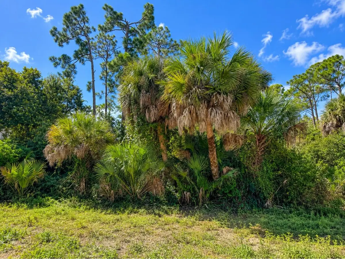 17129 Nixon Avenue, Port Charlotte, FL 33948 - #1