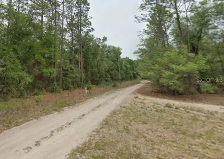 7715 & 7691 W Rainbow Street, Dunnellon, FL 34433 - #1