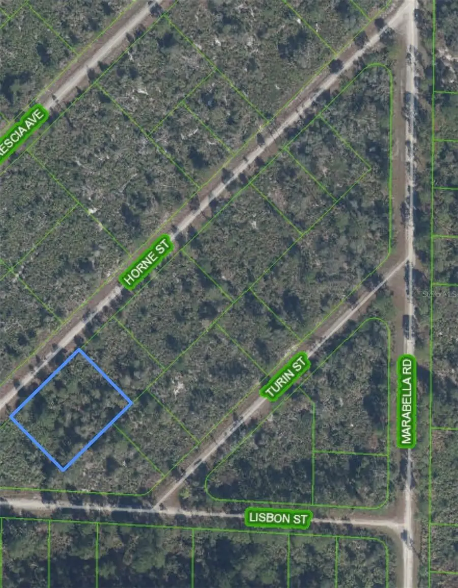 3513 Turin Street, Lake Placid, FL 33852 - #3
