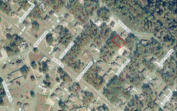 Locus Loop Pass, OCKLAWAHA, FL 32179