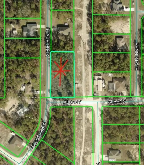 12421 Albany Road, Weeki Wachee, FL 34614 - #1