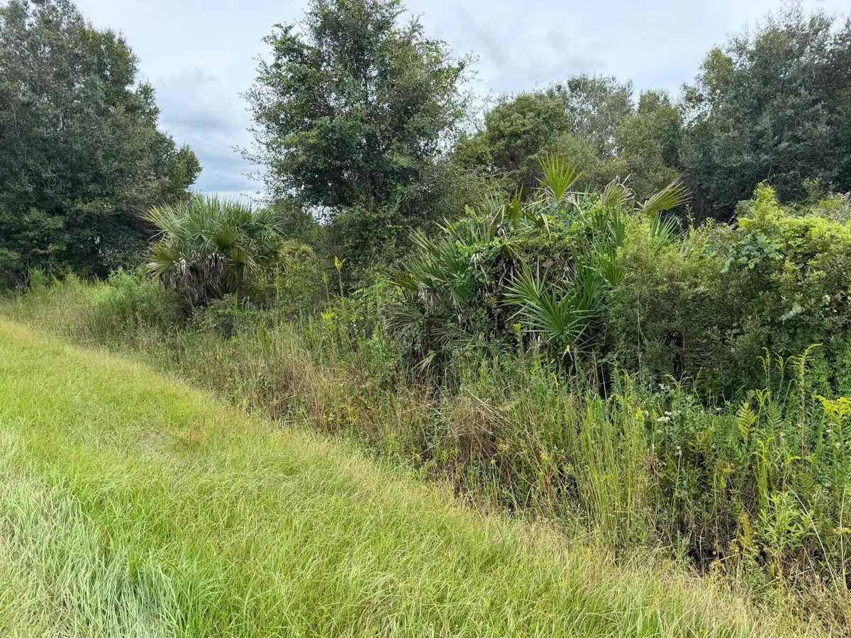 14616 NW 260th Street, Okeechobee, FL 34972 - #1