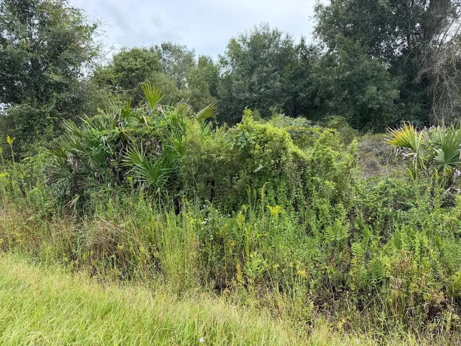 14616 NW 260th Street, Okeechobee, FL 34972 - #3
